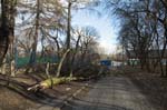 110208_III_MK4_026